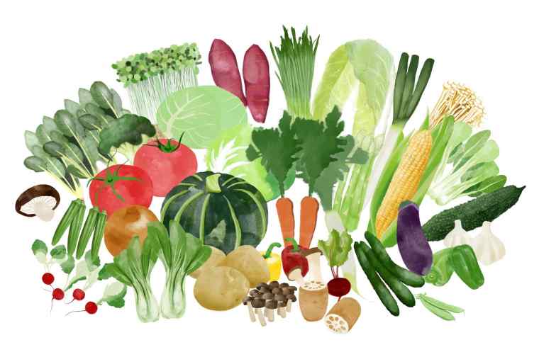 野菜